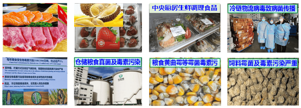 QQ_1781261299753.png