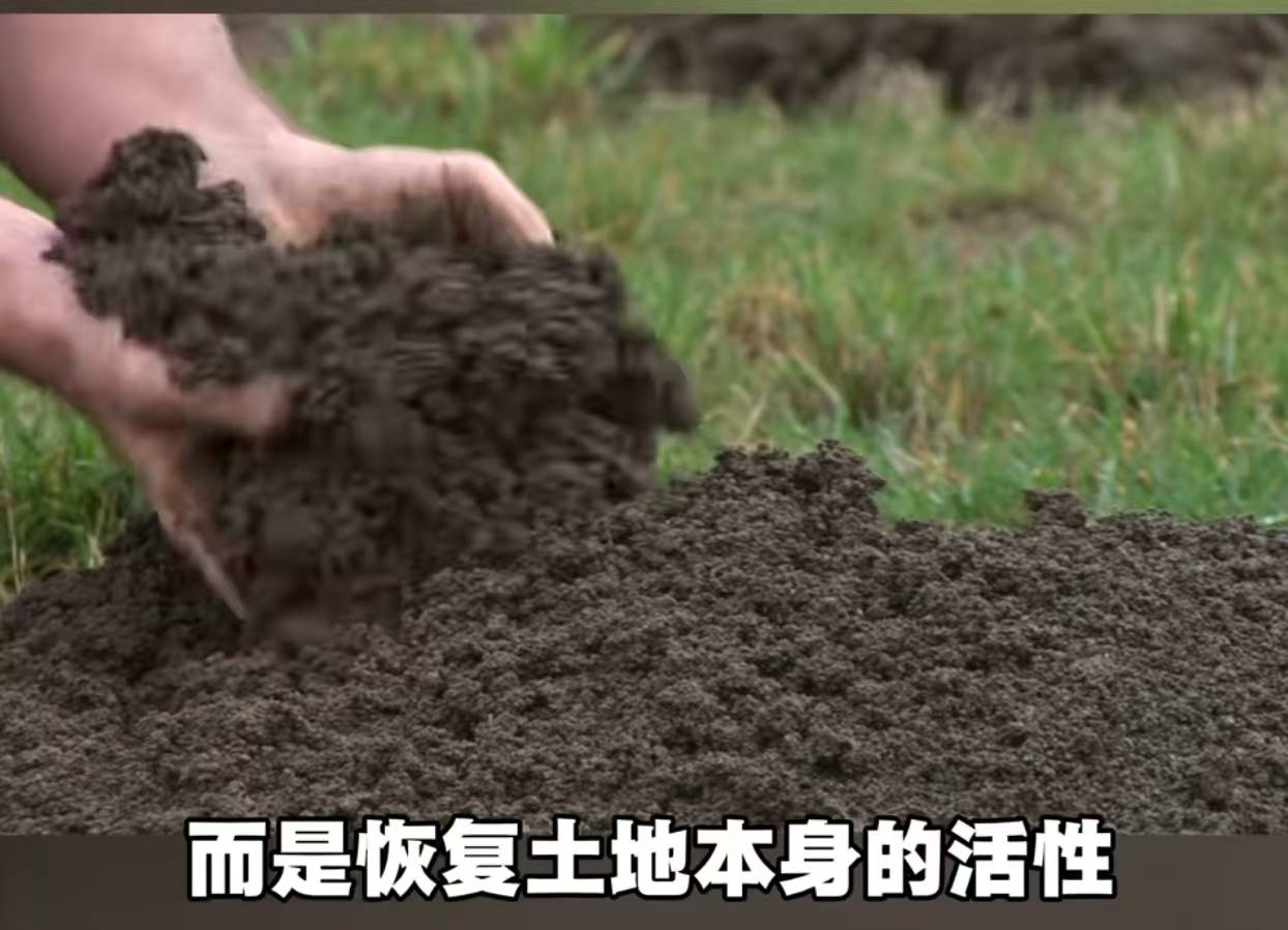 文章配图-2