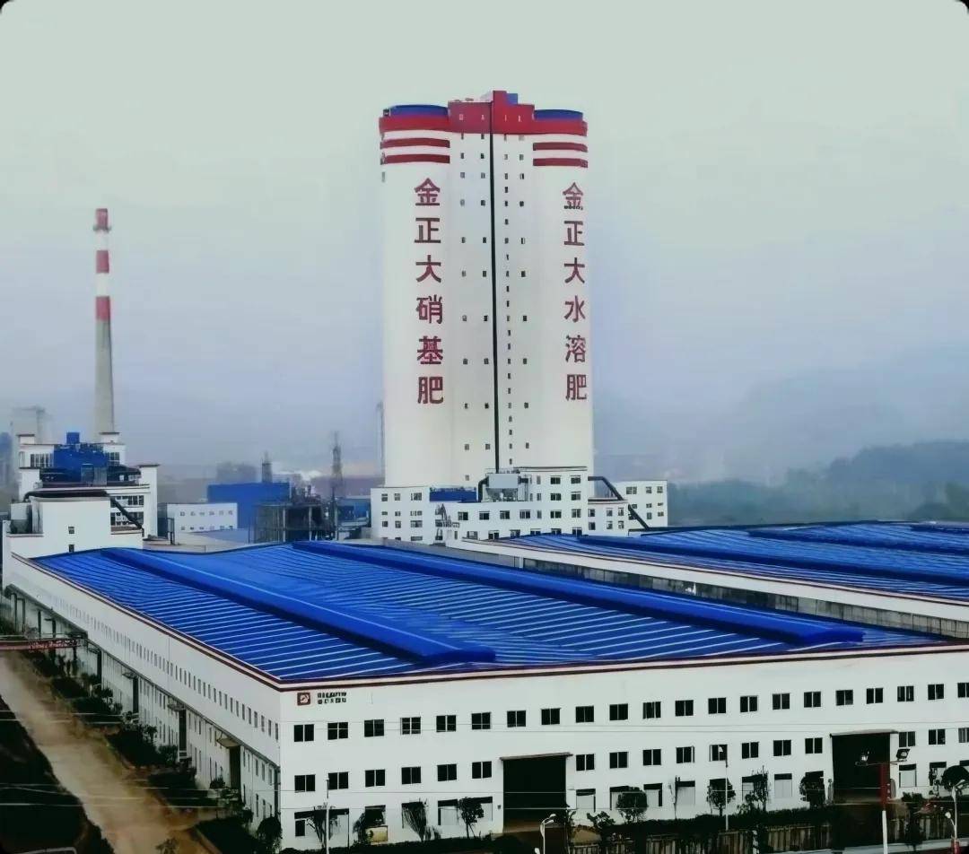 金正大：国资入股后困境未解 担保与关联交