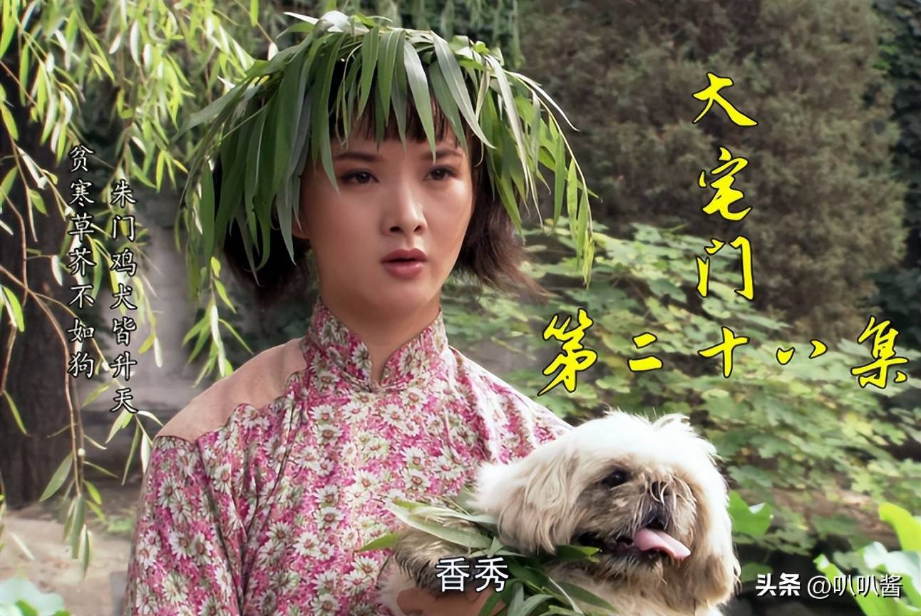 文章配图-6