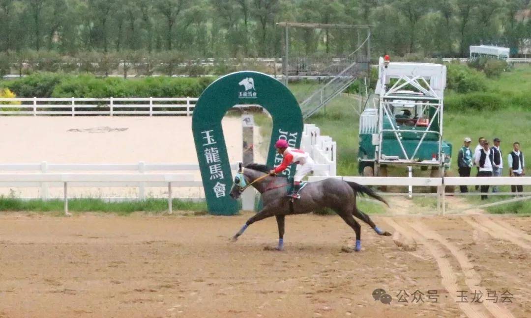 文章配图-1