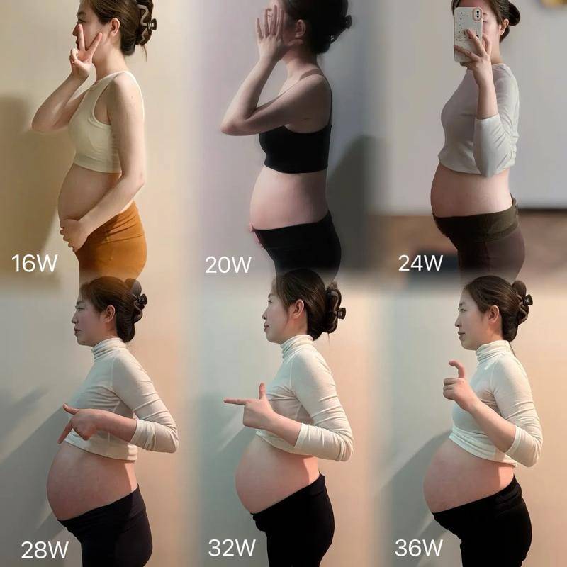 子宫从梨变西瓜、五脏六腑全移位：女人怀孕的“身体重构”,比你以为的惨烈