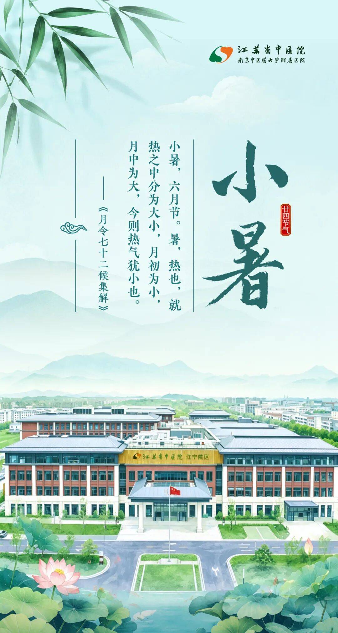 顺时养脾胃、稳代谢！省中专家手把手教你小暑养生