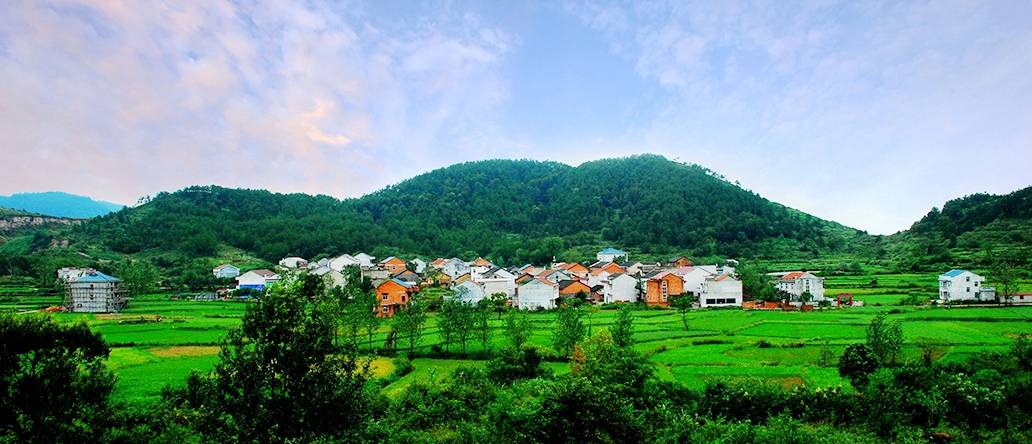文章配图-4
