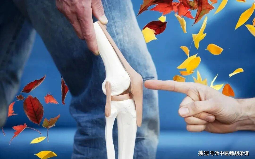 这一味药材，是祛湿散寒的利器，只此一味，就能赶走风湿关节痛！