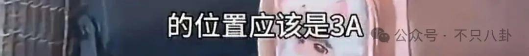 文章配图-4