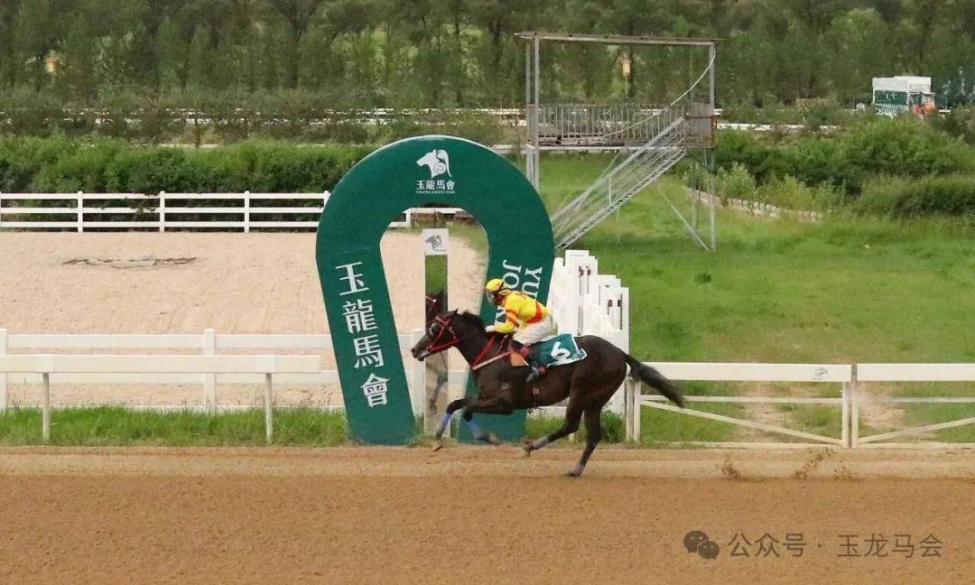 文章配图-3