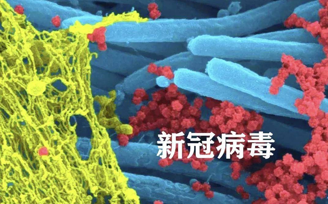 原创            新冠再次来袭，或不发烧！医生提醒：出现6个症状，可能已中招