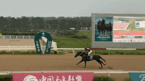 文章配图-2
