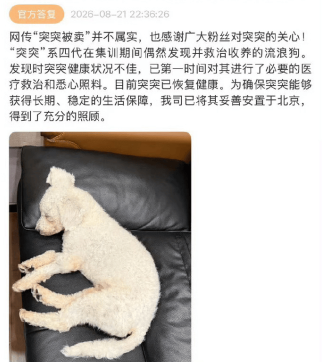时代峰峻辟谣流浪狗售卖传闻:突突已在北京安家