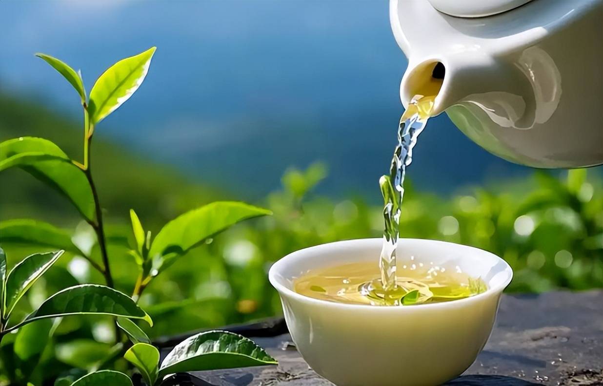 原创            高血压与喝茶有关？医生反复提醒：高血压患者，这3种茶最好少喝