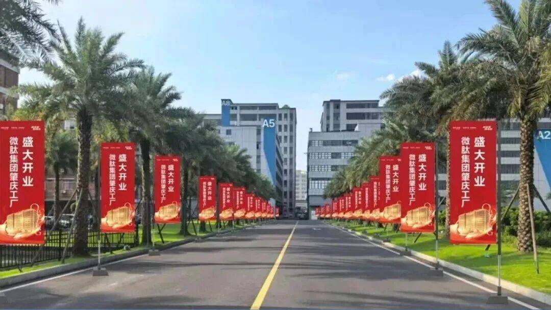 突破60亿元！肇庆这一产业再迎喜讯(图2)