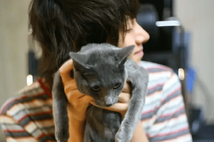 金希澈直播泪别21岁爱猫 揭秘韩J希范与粉丝的特殊羁绊