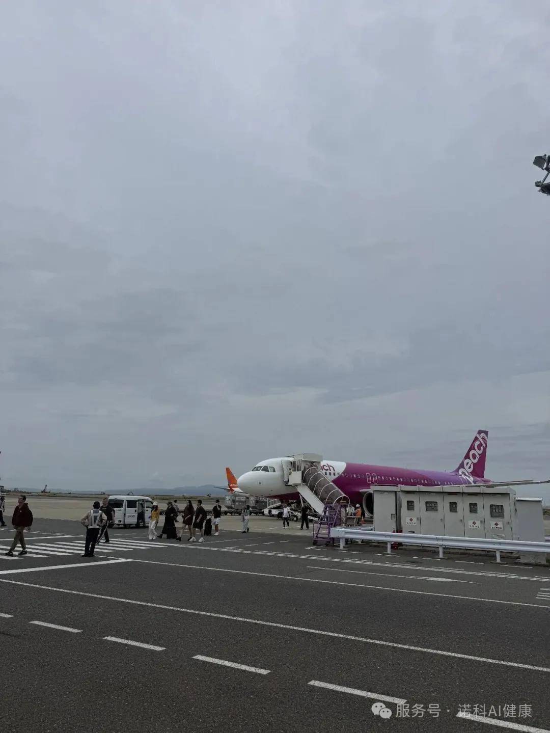 文章配图-3