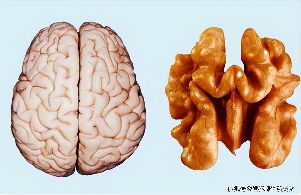 补钙喝纯牛奶有用吗_补钙喝哪种牛奶好_