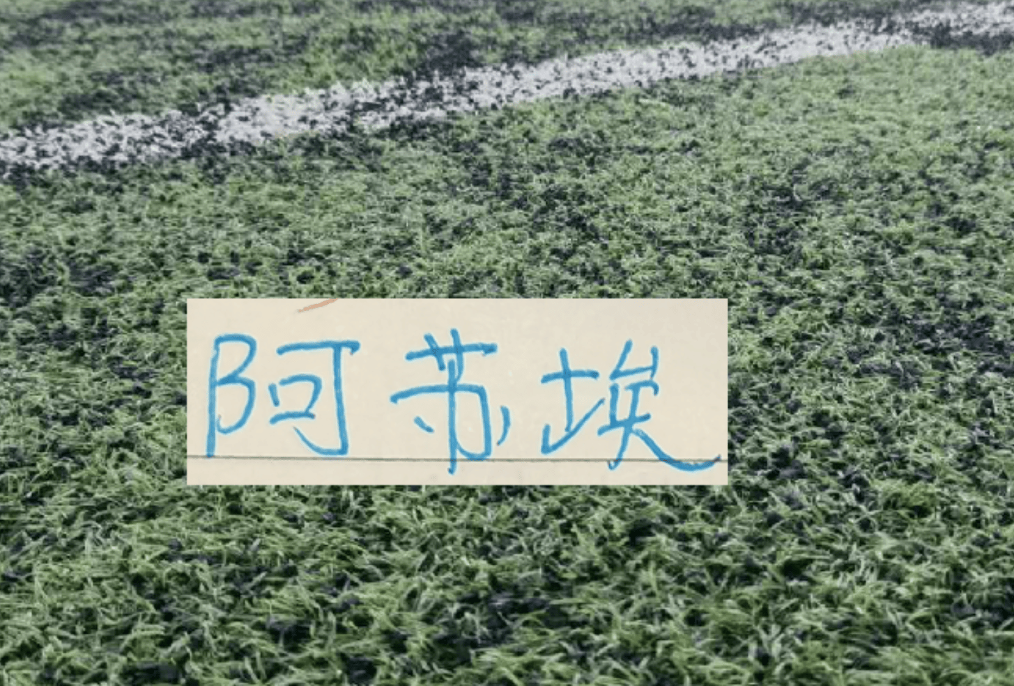 也是好事！大连斯坦丘 武汉的卡迪斯 申花阿苏埃重返国家队