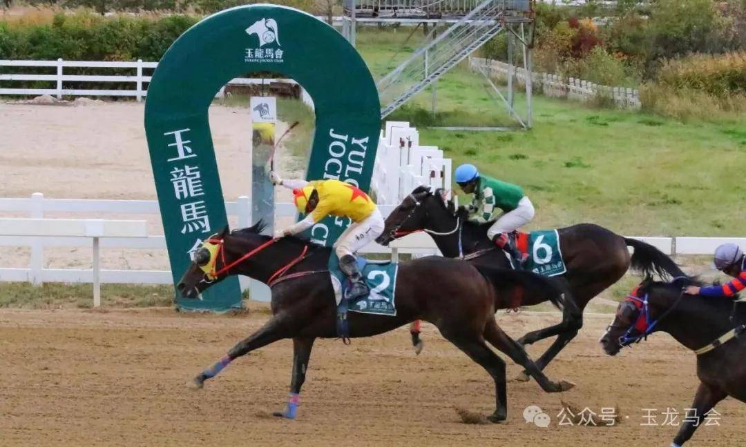文章配图-3