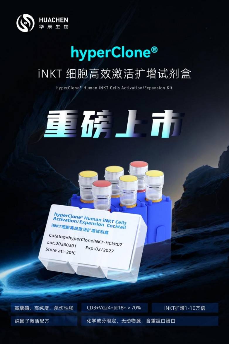 华辰生物iNKT细胞高效激活扩增试剂盒正式上市,助力通用型免疫细胞治疗(图1) 华辰生物iNKT细胞高效激活扩增试剂盒正式上市,助力通用型免疫细胞治疗(图1)