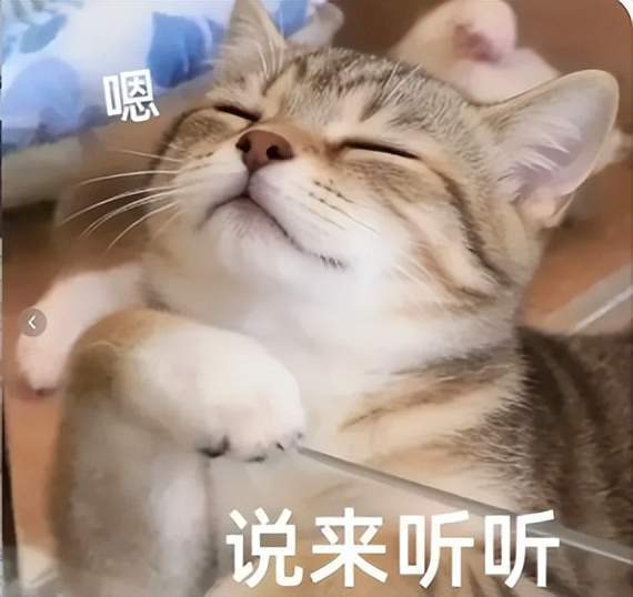 文章配图-1