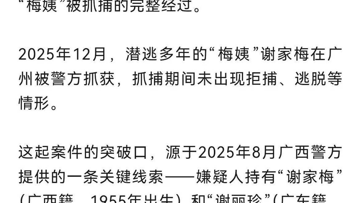 “梅姨”被捕完整经过：广西警方一条关键线索撕开她双重身份
