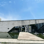 #历经数百年 王阳明书法长卷"回家"#频道图标