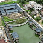 #广东"坟爷"占地建近十亩私人祠堂#频道图标