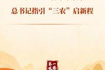 第一观察丨“十五五”首个丰收节，总书记指引“三农”启新程