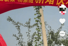 一对新人因名叫“尔康”和“紫薇”意外走红