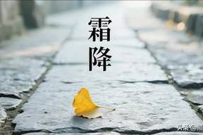 夏日必喝宝藏饮品