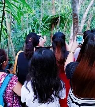 新“中国式旅游”：如果不拍照发朋友圈，旅游是不是就没乐趣了？