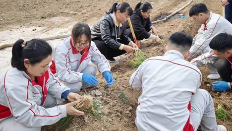 植希望之树，传匠心精神|维尔利集团智慧工厂花园式厂区再添新绿