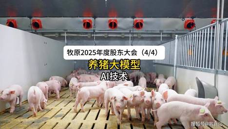 内容配图