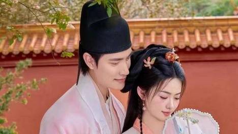 才女征婚出上联：凤落梧桐梧落凤，书生妙对下联促成一段美好姻缘