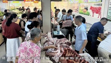 发酵牧草生态养猪：以优质肉质与高效模式领跑生鲜市场