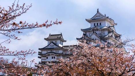 已拿日本经营管理签的注意：新政官方问答出炉，三年缓冲期明确！