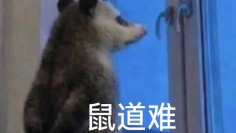看懂灵犀出售的背后信号，三国策略游戏的下一个风口找到了！