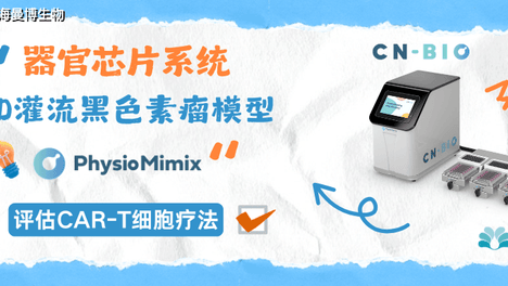 3D灌流黑色素瘤器官芯片模型：用于CAR-T细胞疗法的体外药效评估