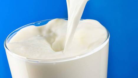 四闯IPO，百菲乳业难破水牛奶天花板