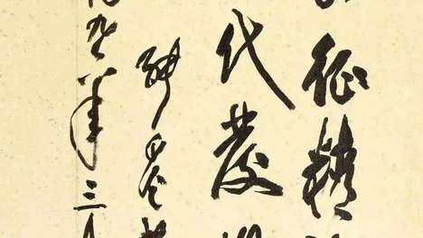 张爱萍的退休生活：从军旅生涯到摄影书法的艺术转变
