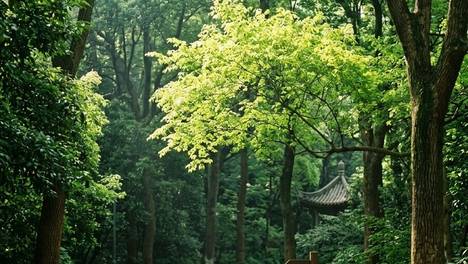 2026旅游，璟行旅行提供持证导游本地向导自驾游路线规划一站式服务