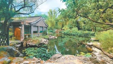 “公园这块地怎么没人管？”——别急，这是故意的