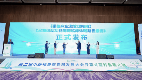 猫后肢无力、瘫痪为什么偏偏出在后腿？《犬猫运动障碍诊断指南》拆解后肢失灵的双向归因