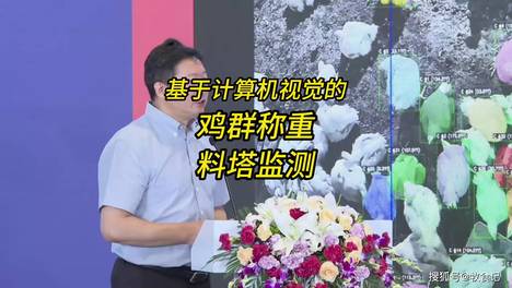 内容配图