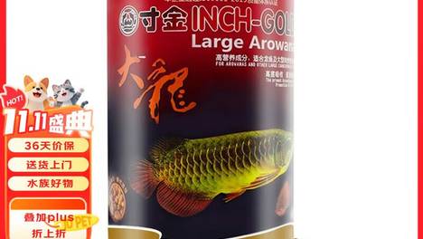 龙鱼兜嘴是什么原因造成的？快来看看你家龙鱼是不是这样！