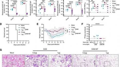 周也和珠珠宝宝们