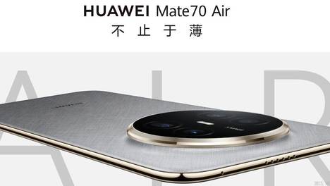 景甜龙骨焚箱造型