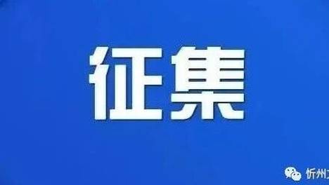 你对忻州道路交通管理有什么建议？请提交到这里