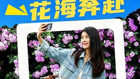 【赴一场浪漫花事】五月，与蔷薇撞个满怀！
