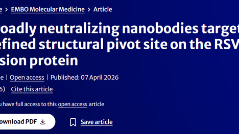 佰乐博文献速递 | AntibodySystem产品2026年4月新增部分引用文献分享