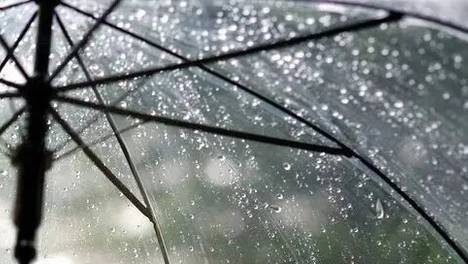 北京这场雨“耐力十足”，下周前期仍多阵雨